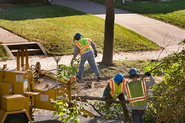 Best Lawn Drainage Solutions  in Gridley, CA